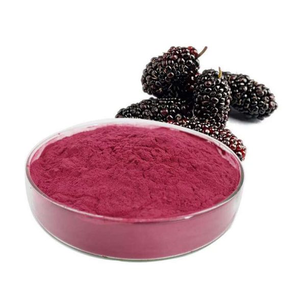 Mulberry Extract Powder Neneeys Optimal Skincare